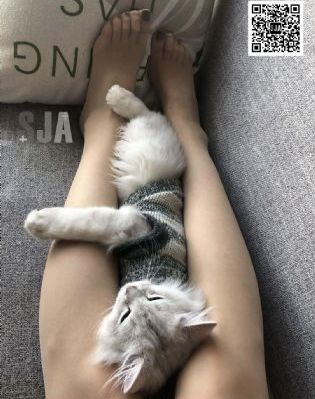 校花被强迫真嫩真紧好爽小说_国产剧高清视频观看